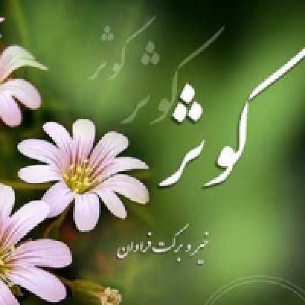 برگزاری مسابقه کتابخوانی بانوی نمونه در کرمانشاه