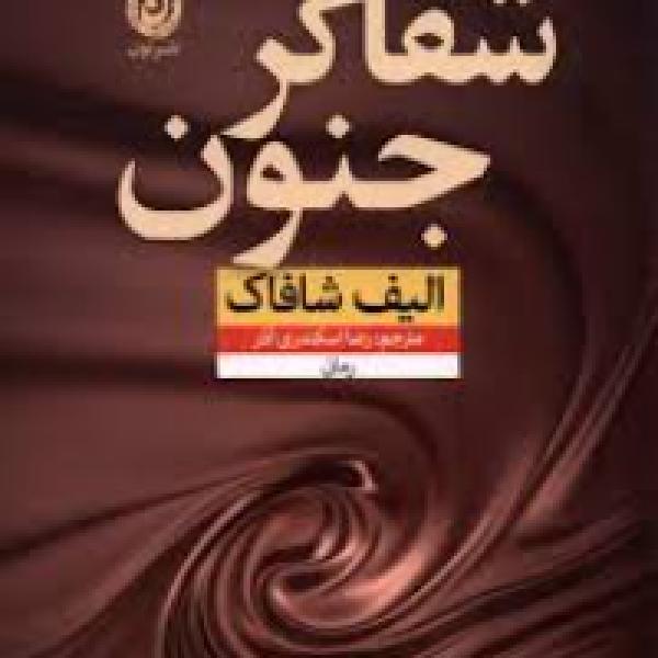 معرفی کتاب/شفاگر جنون معرفی کتاب/شفاگر جنون