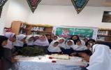 جشن کتاب و کتابخوانی در کتابخانه عمومی سید الشهداء(ع) جشن کتاب و کتابخوانی در کتابخانه عمومی سید الشهداء(ع)