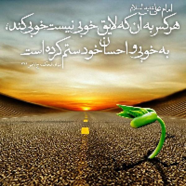 محبتت را صرف هرکسی نکن
